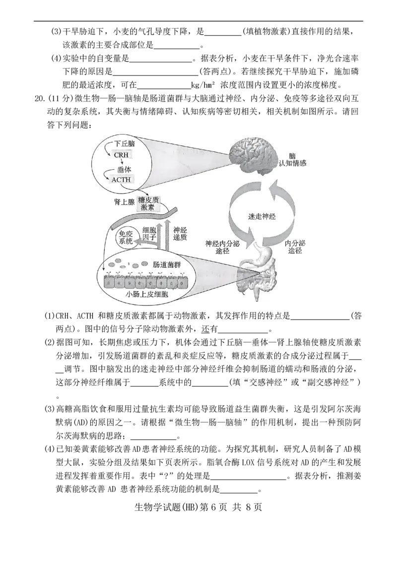 T8联考2026届高三年级12月检测训练生物(河北)_2024-2026高三（6-6月题库）_2025年12月高三试卷_2512252026届高三第一次学业质量评价联考（T8八省联考）（全科）_选科[河北专版]（全）