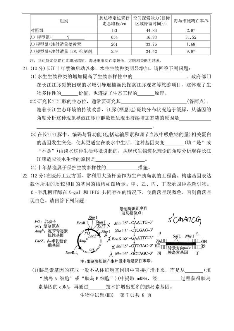 T8联考2026届高三年级12月检测训练生物(河北)_2024-2026高三（6-6月题库）_2025年12月高三试卷_2512252026届高三第一次学业质量评价联考（T8八省联考）（全科）_选科[河北专版]（全）