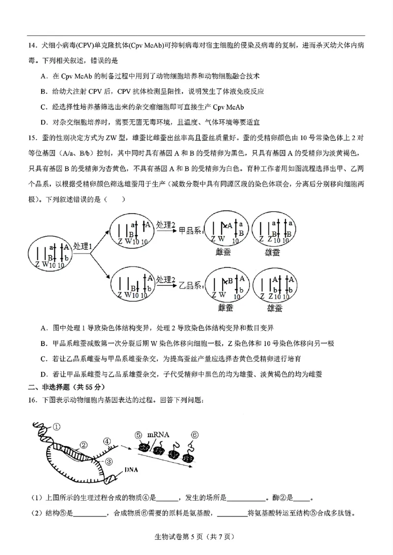 生物-2025届高三八省适应性联考模拟演练考试二_2024-2025高三（6-6月题库）_2024年11月试卷_11102025届高三八省适应性联考模拟演练考试（二）