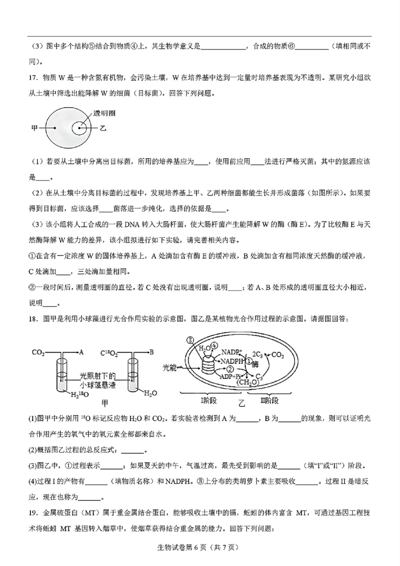 生物-2025届高三八省适应性联考模拟演练考试二_2024-2025高三（6-6月题库）_2024年11月试卷_11102025届高三八省适应性联考模拟演练考试（二）