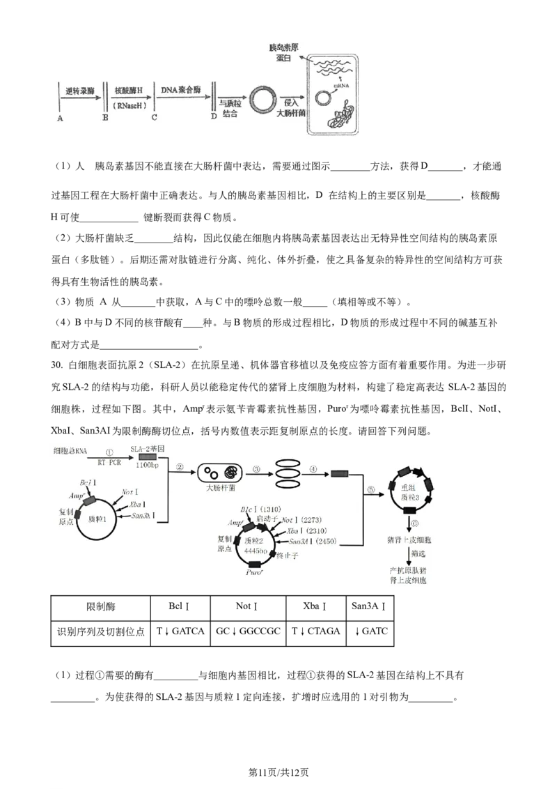 福建省福州市鼓楼区福建省福州第二中学2023-2024学年高二下学期7月期末生物试题（原卷版）_2024-2025高三（6-6月题库）_2024年07月试卷