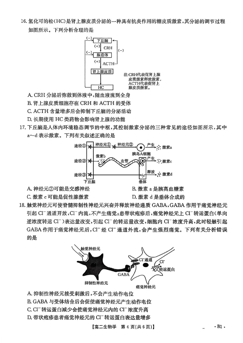 河北省2027届高二年级10月份联考（26-35B）生物B1_2025年10月高二试卷_251025金太阳&middot;河北省2027届高二年级10月份联考（26-35B）（全）