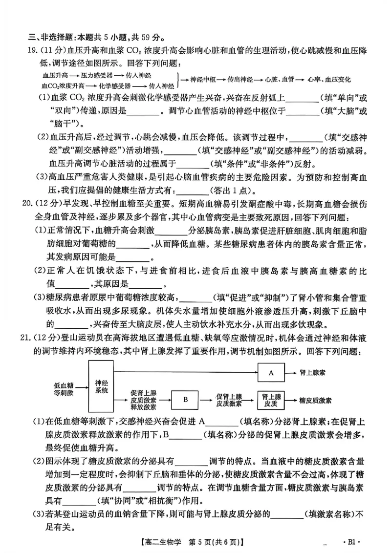 河北省2027届高二年级10月份联考（26-35B）生物B1_2025年10月高二试卷_251025金太阳&middot;河北省2027届高二年级10月份联考（26-35B）（全）