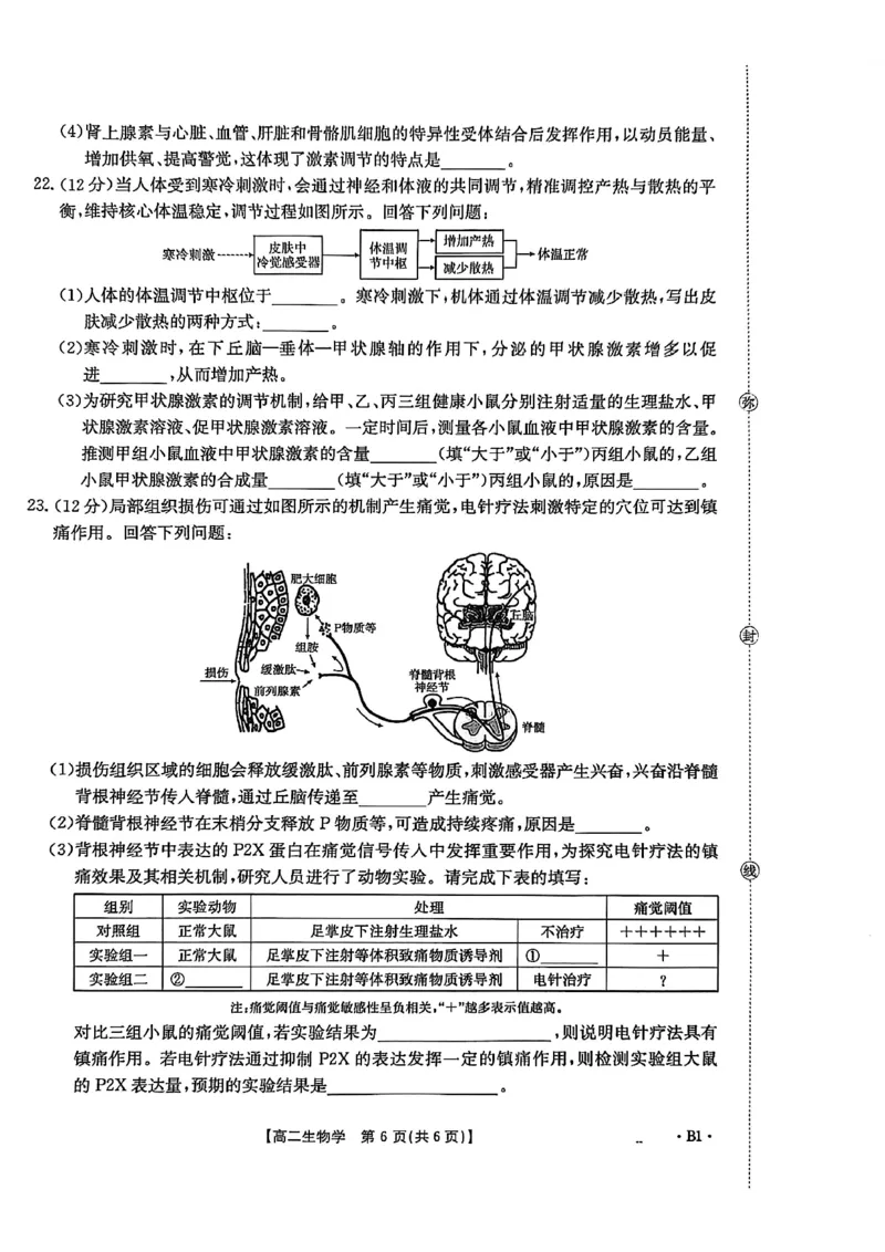 河北省2027届高二年级10月份联考（26-35B）生物B1_2025年10月高二试卷_251025金太阳&middot;河北省2027届高二年级10月份联考（26-35B）（全）