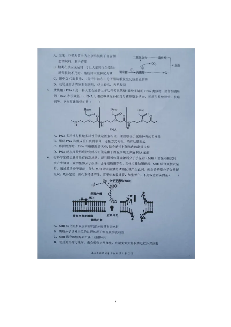 湖北省新高考协作体2024-2025学年高三上学期11月期中生物试题_2024-2025高三（6-6月题库）_2024年11月试卷_1114湖北省新高考协作体2024-2025学年高三上学期11月期中考（全科）