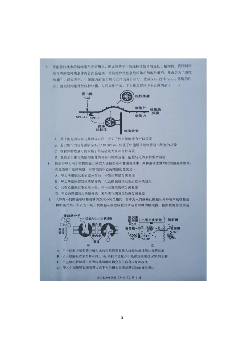 湖北省新高考协作体2024-2025学年高三上学期11月期中生物试题_2024-2025高三（6-6月题库）_2024年11月试卷_1114湖北省新高考协作体2024-2025学年高三上学期11月期中考（全科）