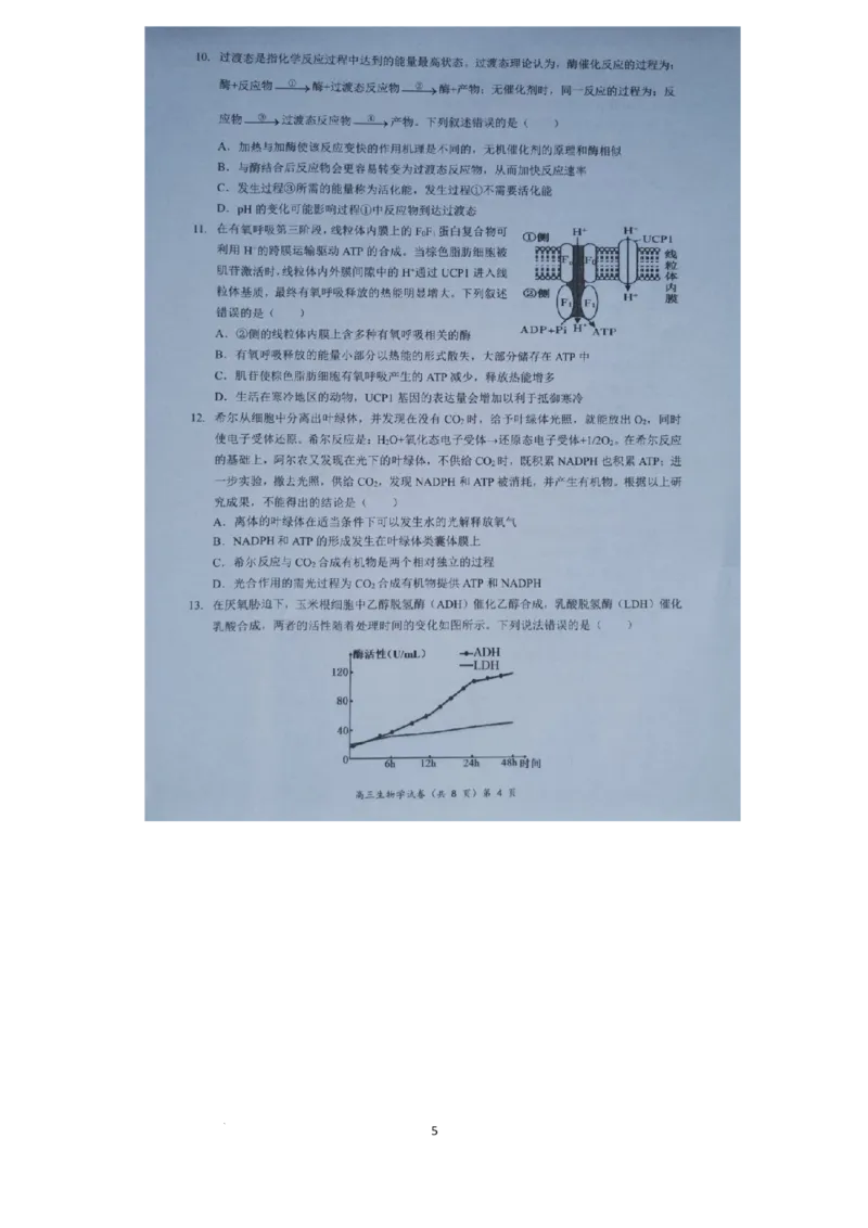 湖北省新高考协作体2024-2025学年高三上学期11月期中生物试题_2024-2025高三（6-6月题库）_2024年11月试卷_1114湖北省新高考协作体2024-2025学年高三上学期11月期中考（全科）