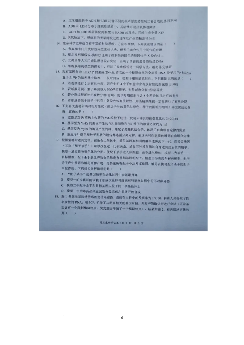 湖北省新高考协作体2024-2025学年高三上学期11月期中生物试题_2024-2025高三（6-6月题库）_2024年11月试卷_1114湖北省新高考协作体2024-2025学年高三上学期11月期中考（全科）