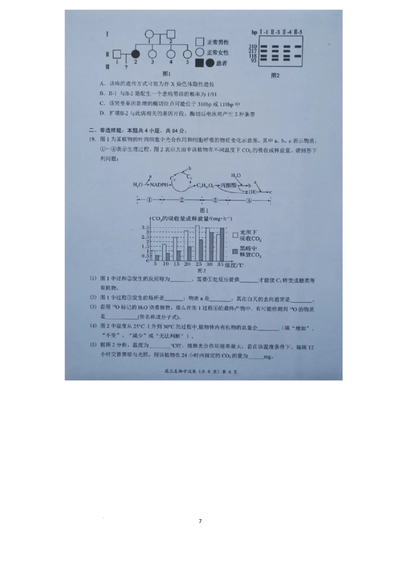 湖北省新高考协作体2024-2025学年高三上学期11月期中生物试题_2024-2025高三（6-6月题库）_2024年11月试卷_1114湖北省新高考协作体2024-2025学年高三上学期11月期中考（全科）