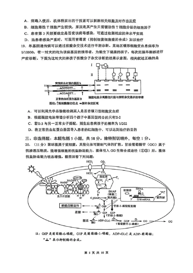 生物试题_2024-2025高三（6-6月题库）_2025年02月试卷_0214江苏南京六校联合体2025届高三下学期2月调研