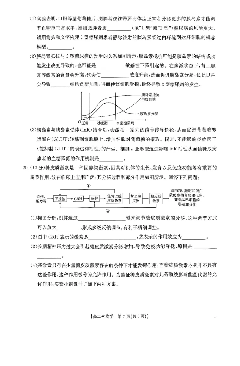 生物试题_2024-2025高二（7-7月题库）_2024年12月试卷_1214金太阳广东省2024-2025学年高二上学期12月联合检测_广东省部分名校2024-2025学年高二上学期12月联合检测生物试题