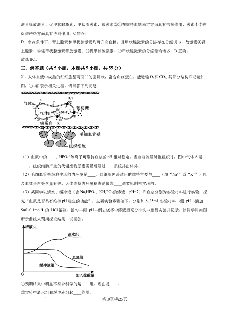 精品解析：山东省日照第一中学2025-2026学年高二上学期第一次质量检测生物试卷（解析版）_2025年11月高二试卷_251107山东省日照第一中学2025-2026学年高二上学期第一次质量检测