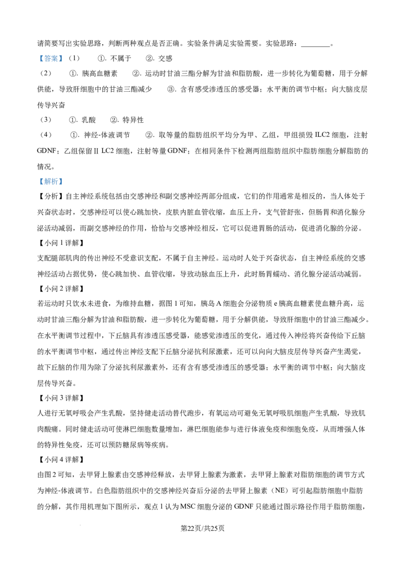 精品解析：山东省日照第一中学2025-2026学年高二上学期第一次质量检测生物试卷（解析版）_2025年11月高二试卷_251107山东省日照第一中学2025-2026学年高二上学期第一次质量检测