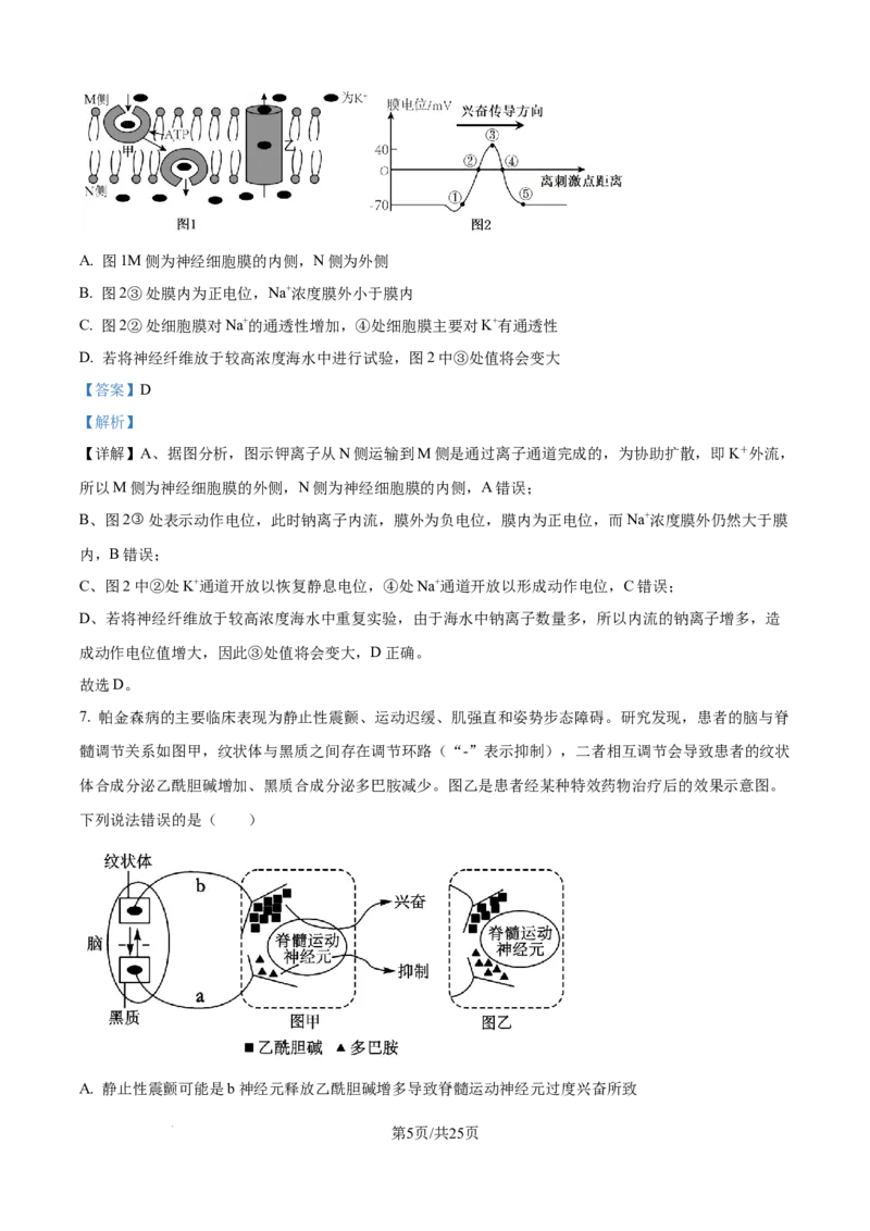 精品解析：山东省日照第一中学2025-2026学年高二上学期第一次质量检测生物试卷（解析版）_2025年11月高二试卷_251107山东省日照第一中学2025-2026学年高二上学期第一次质量检测
