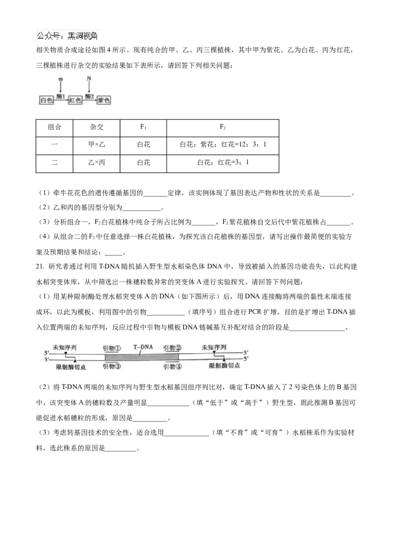 贵州省部分学校2024-2025学年高三上学期9月月考生物试题（含答案）_2024-2025高三（6-6月题库）_2024年09月试卷_09232025贵州省贵阳市第一中学高三上学期适应性月考（一）