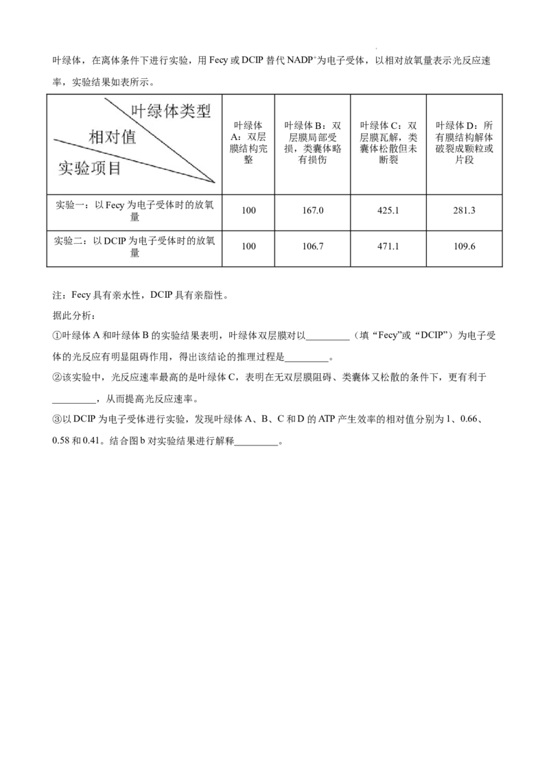 （原卷）生物_2024-2025高三（6-6月题库）_2024年12月试卷_1211甘肃省兰州第一中学2024-2025学年高三上学期12月月考试题_甘肃省兰州第一中学2024-2025学年高三上学期12月月考生物