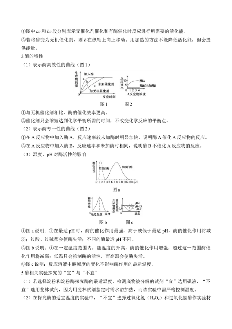 （4）酶与ATP&mdash;&mdash;高考生物二轮复习易错重难提升（含解析）_2024-2025高三（6-6月题库）_2026年1月高三_260104高考生物二轮复习易错重难提升（含解析）