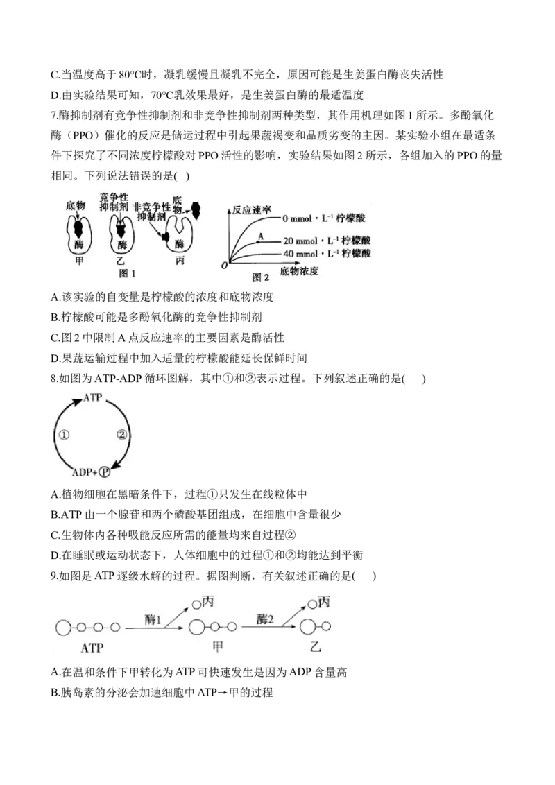 （4）酶与ATP&mdash;&mdash;高考生物二轮复习易错重难提升（含解析）_2024-2025高三（6-6月题库）_2026年1月高三_260104高考生物二轮复习易错重难提升（含解析）