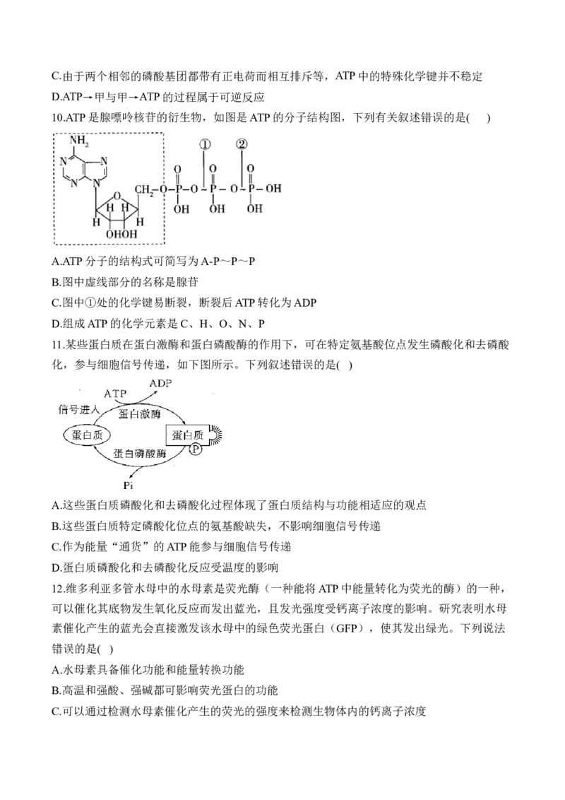 （4）酶与ATP&mdash;&mdash;高考生物二轮复习易错重难提升（含解析）_2024-2025高三（6-6月题库）_2026年1月高三_260104高考生物二轮复习易错重难提升（含解析）