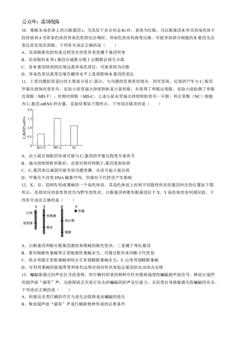 河南省天一大联考2024-2025学年高三上学期阶段性检测（二）生物试题（含答案）_2024-2025高三（6-6月题库）_2024年10月试卷_1011河南省天一大联考2024-2025学年高三上学期阶段性检测（二）