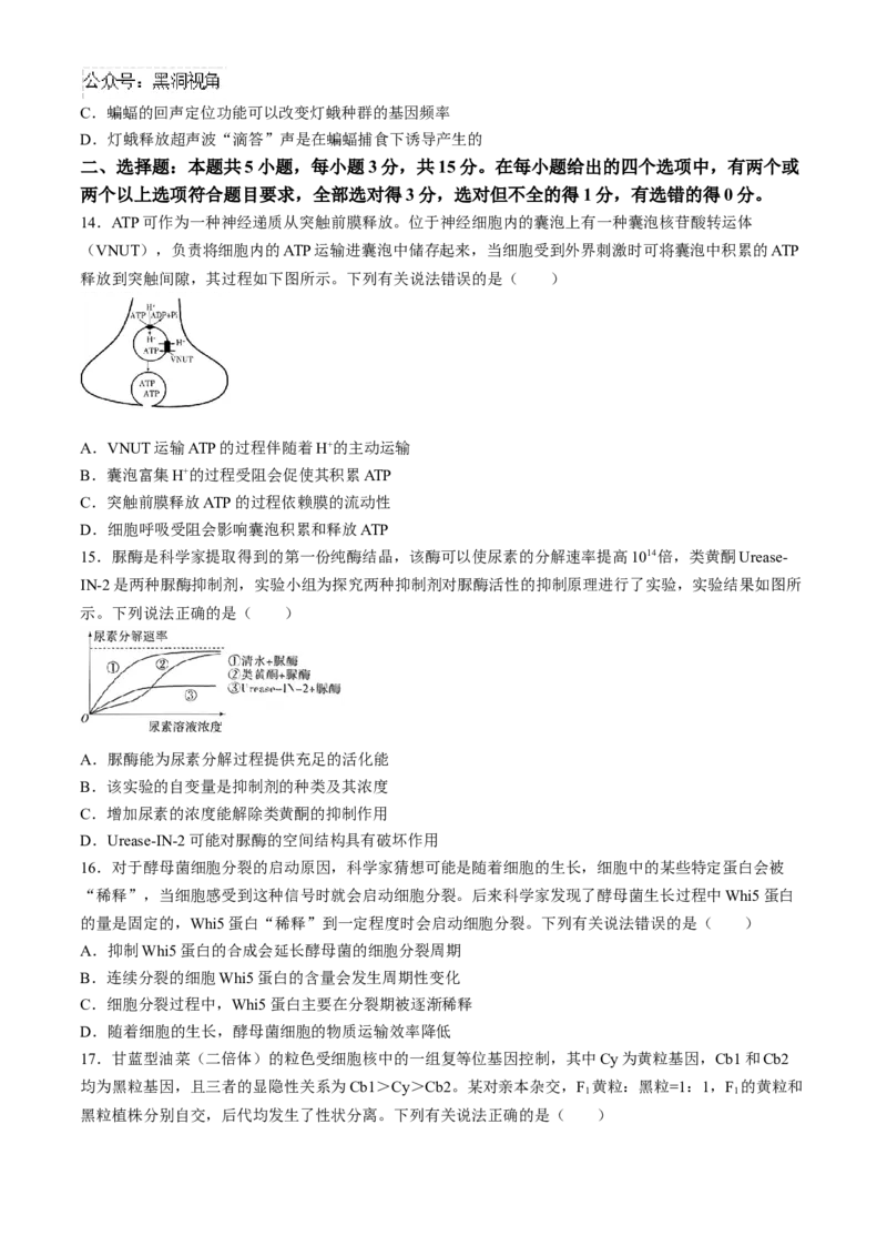 河南省天一大联考2024-2025学年高三上学期阶段性检测（二）生物试题（含答案）_2024-2025高三（6-6月题库）_2024年10月试卷_1011河南省天一大联考2024-2025学年高三上学期阶段性检测（二）