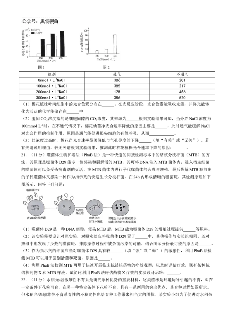 河南省天一大联考2024-2025学年高三上学期阶段性检测（二）生物试题（含答案）_2024-2025高三（6-6月题库）_2024年10月试卷_1011河南省天一大联考2024-2025学年高三上学期阶段性检测（二）