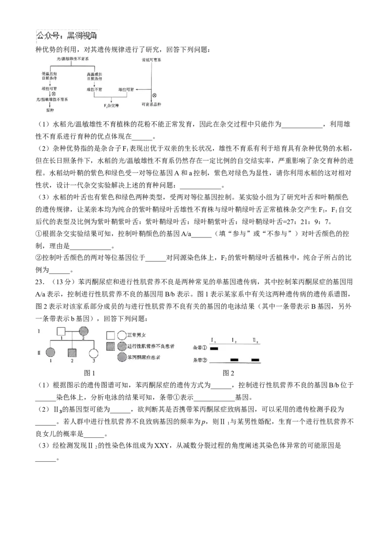 河南省天一大联考2024-2025学年高三上学期阶段性检测（二）生物试题（含答案）_2024-2025高三（6-6月题库）_2024年10月试卷_1011河南省天一大联考2024-2025学年高三上学期阶段性检测（二）