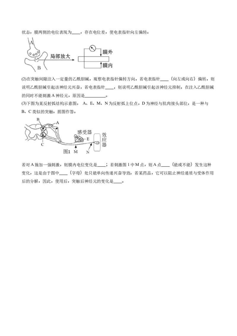 贵州省遵义市南白中学2025-2026学年高二上学期10月质量监测试题生物Word版含答案_2025年11月高二试卷_251113贵州省遵义市南白中学2025-2026学年高二上学期10月质量监测试题