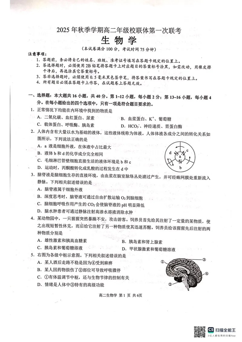 河池十校联体2025-10月考高二生物试卷_2025年11月高二试卷_251102广西壮族自治区河池市十校联考2025-2026学年高二上学期10月月考