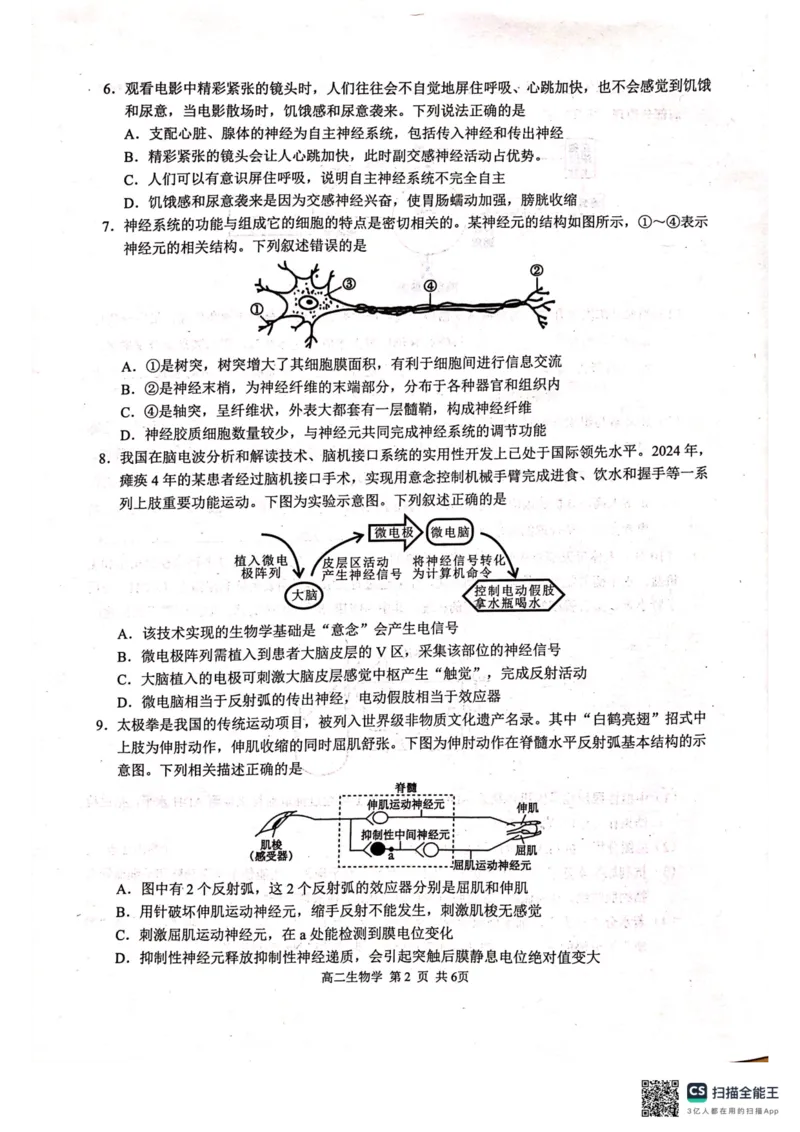 河池十校联体2025-10月考高二生物试卷_2025年11月高二试卷_251102广西壮族自治区河池市十校联考2025-2026学年高二上学期10月月考