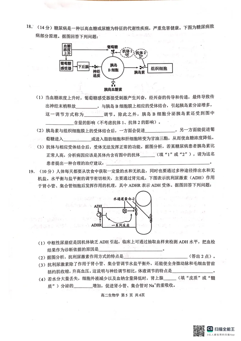 河池十校联体2025-10月考高二生物试卷_2025年11月高二试卷_251102广西壮族自治区河池市十校联考2025-2026学年高二上学期10月月考