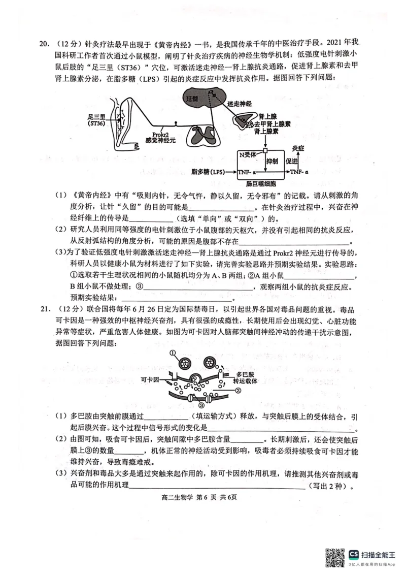 河池十校联体2025-10月考高二生物试卷_2025年11月高二试卷_251102广西壮族自治区河池市十校联考2025-2026学年高二上学期10月月考