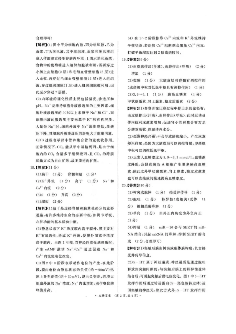 生物答案-河南高二青桐鸣大联考2025年10月联考_2025年10月高二试卷_251026河南高二青桐鸣大联考2025年10月联考(全)