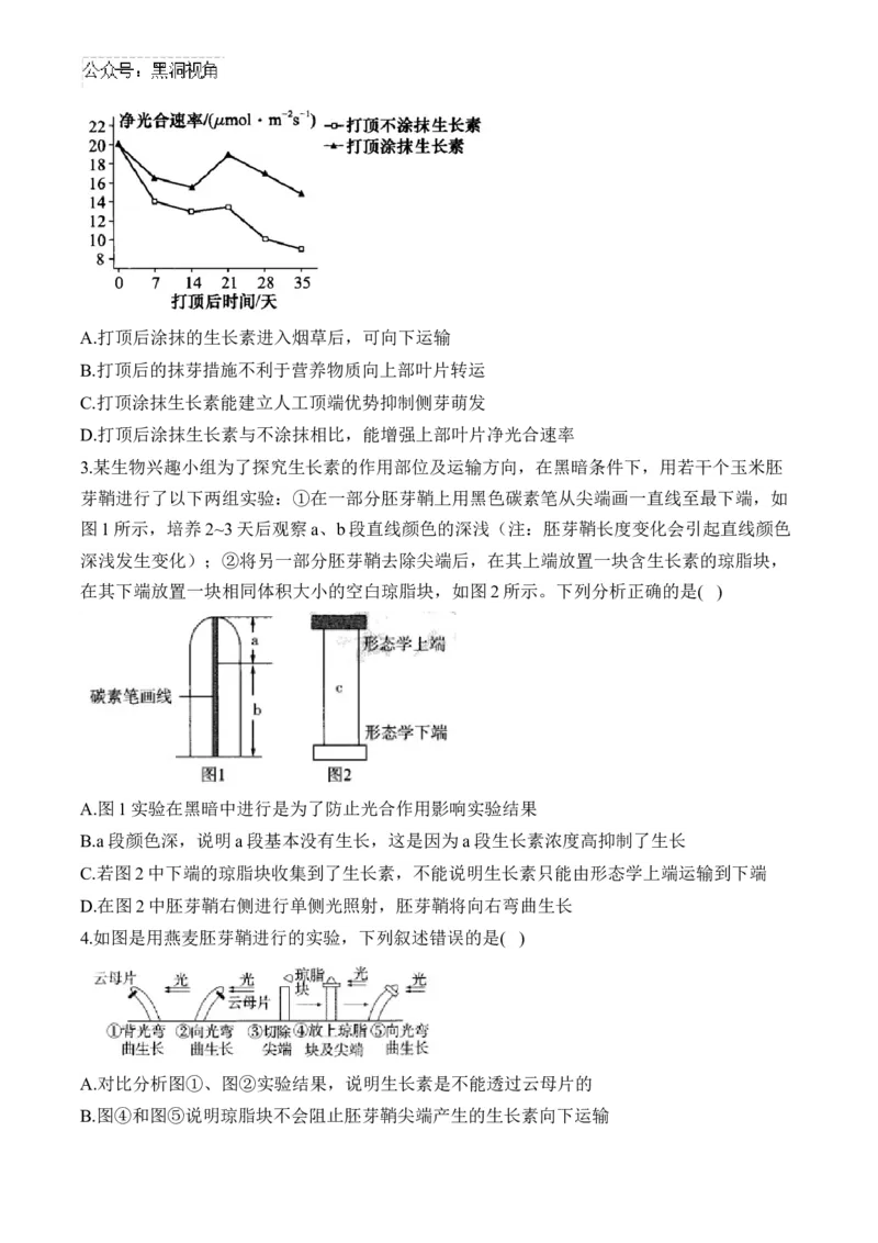 （19）植物的激素调节&mdash;&mdash;2025届高考生物二轮复习易错重难提升学案（含解析）_2024-2025高三（6-6月题库）_2025年02月试卷_02162025届高考生物二轮复习易错重难提升（含解析）