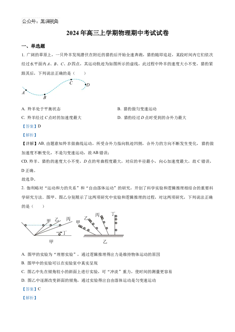 湖南省岳阳市临湘市2024-2025学年高三上学期11月期中物理试题Word版含解析_2024-2025高三（6-6月题库）_2024年11月试卷_1127湖南省岳阳市临湘市2024-2025学年高三上学期11月期中考试