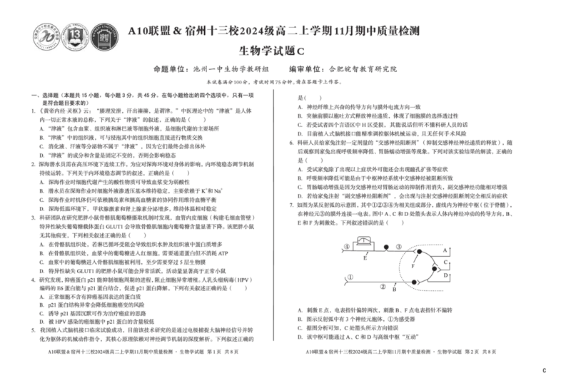 生物（C卷）A10联盟＆宿州十三校2024级高二上学期11月期中质量检测生物学c_2025年11月高二试卷_251124安徽省A10联盟＆宿州十三校2024级高二上学期11月期中质量检测（全）