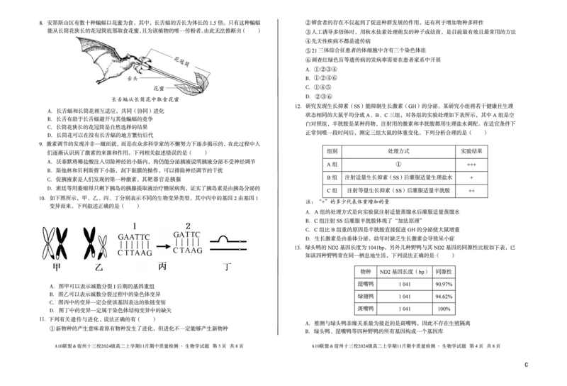 生物（C卷）A10联盟＆宿州十三校2024级高二上学期11月期中质量检测生物学c_2025年11月高二试卷_251124安徽省A10联盟＆宿州十三校2024级高二上学期11月期中质量检测（全）