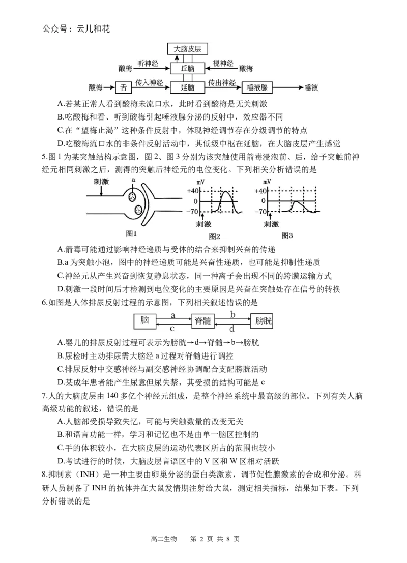 生物试题_2024-2025高二（7-7月题库）_2024年12月试卷_1202四川省遂宁市射洪中学2024-2025学年高二上学期期中考试_四川省遂宁市射洪中学2024-2025学年高二上学期期中考试生物试题（含答案）