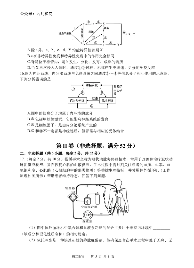 生物试题_2024-2025高二（7-7月题库）_2024年12月试卷_1202四川省遂宁市射洪中学2024-2025学年高二上学期期中考试_四川省遂宁市射洪中学2024-2025学年高二上学期期中考试生物试题（含答案）