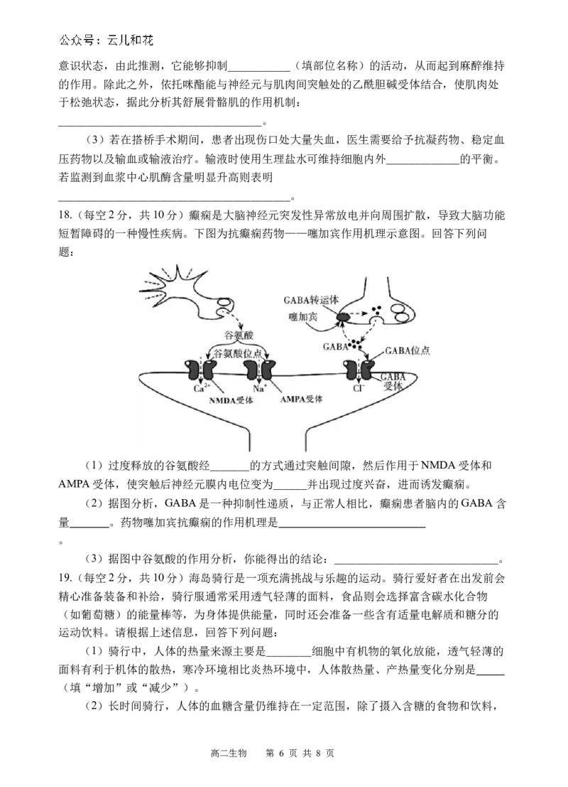 生物试题_2024-2025高二（7-7月题库）_2024年12月试卷_1202四川省遂宁市射洪中学2024-2025学年高二上学期期中考试_四川省遂宁市射洪中学2024-2025学年高二上学期期中考试生物试题（含答案）