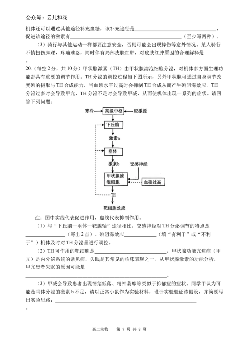 生物试题_2024-2025高二（7-7月题库）_2024年12月试卷_1202四川省遂宁市射洪中学2024-2025学年高二上学期期中考试_四川省遂宁市射洪中学2024-2025学年高二上学期期中考试生物试题（含答案）