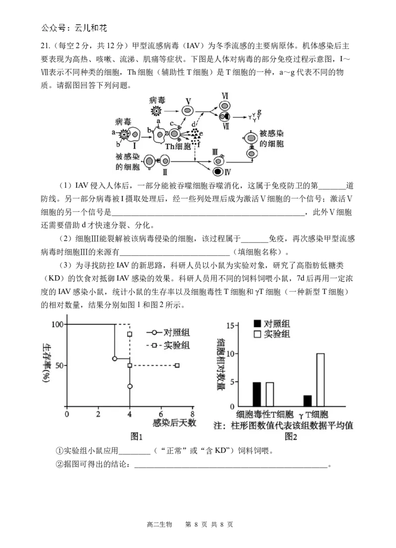 生物试题_2024-2025高二（7-7月题库）_2024年12月试卷_1202四川省遂宁市射洪中学2024-2025学年高二上学期期中考试_四川省遂宁市射洪中学2024-2025学年高二上学期期中考试生物试题（含答案）