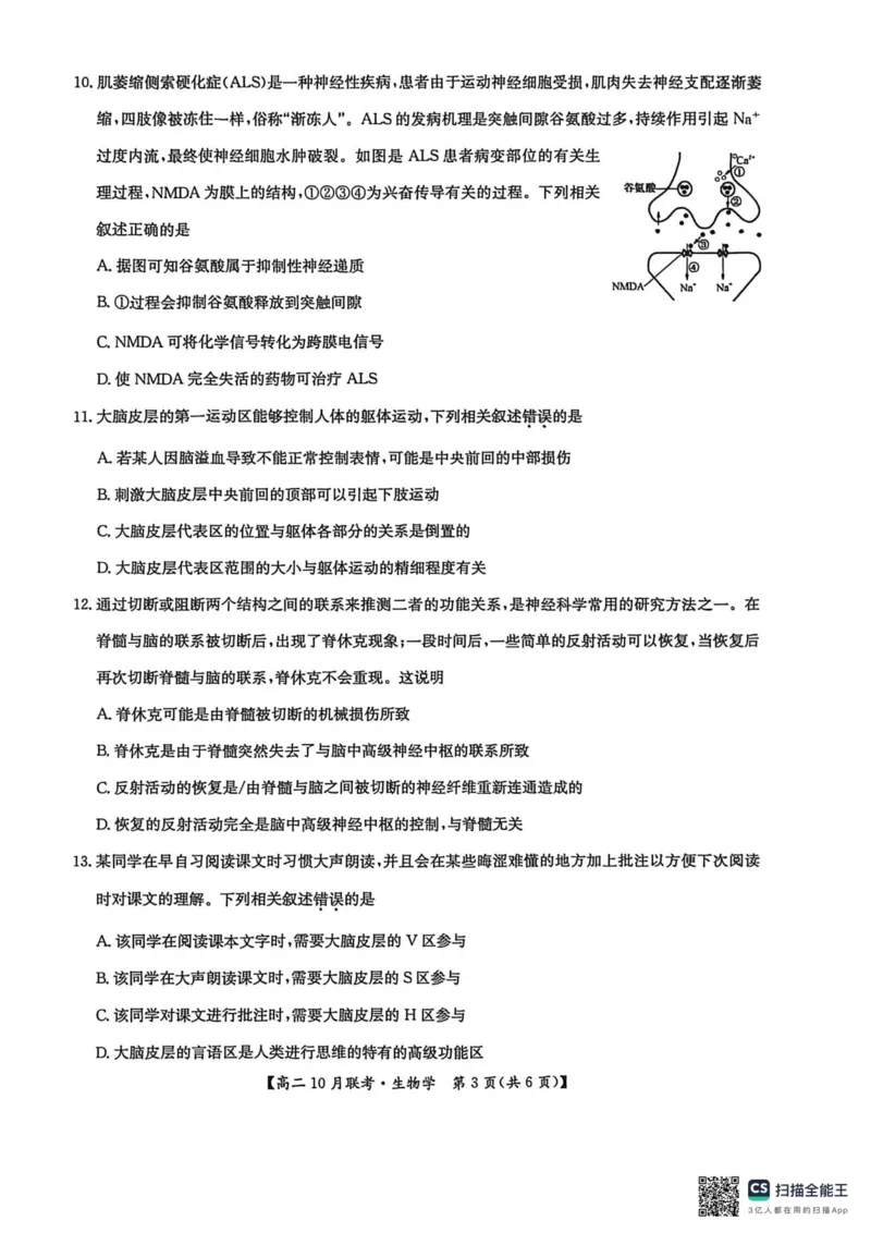 高二生物2025-10-1516.58_2025年10月高二试卷_251018河南洛阳强基联盟2025-2026学年高二上学期10月联考（全）_河南洛阳强基联盟2025-2026学年高二上学期10月联考生物试题含答案