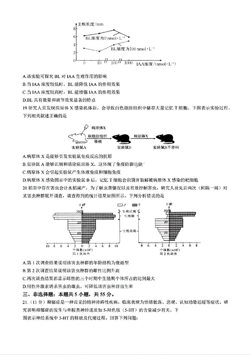 生物+答案_2024-2025高二（7-7月题库）_2024年11月试卷_1109内蒙古金太阳2024-2025学年高二11月联考