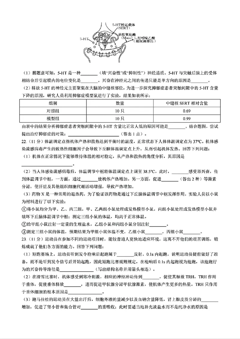 生物+答案_2024-2025高二（7-7月题库）_2024年11月试卷_1109内蒙古金太阳2024-2025学年高二11月联考