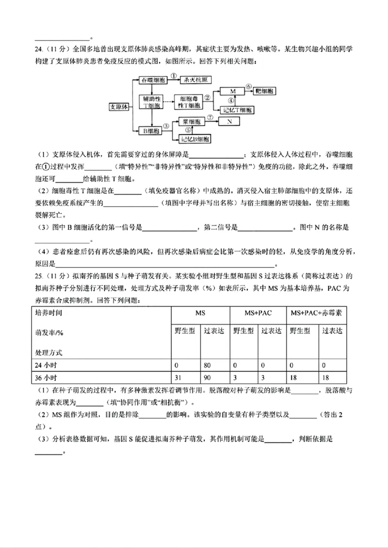 生物+答案_2024-2025高二（7-7月题库）_2024年11月试卷_1109内蒙古金太阳2024-2025学年高二11月联考