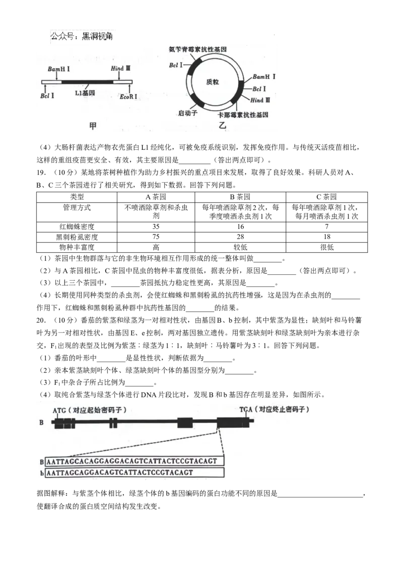 贵州省六盘水市2025届高三上学期第二次诊断性监测生物_2024-2026高三（6-6月题库）_2024年12月试卷_1203贵州省六盘水市2025届高三上学期第二次诊断性监测