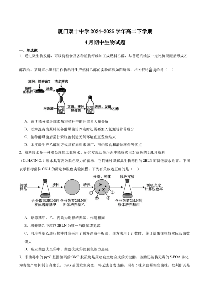 福建省厦门双十中学2024-2025学年高二下学期4月期中考试生物Word版含答案_2024-2025高二（7-7月题库）_2025年6月试卷_0603福建省厦门双十中学2024-2025学年高二下学期4月期中考试
