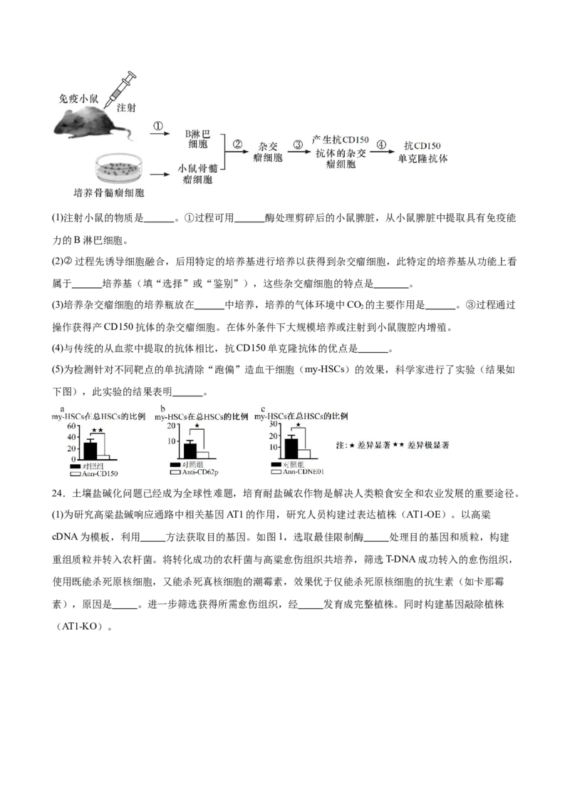 福建省厦门双十中学2024-2025学年高二下学期4月期中考试生物Word版含答案_2024-2025高二（7-7月题库）_2025年6月试卷_0603福建省厦门双十中学2024-2025学年高二下学期4月期中考试