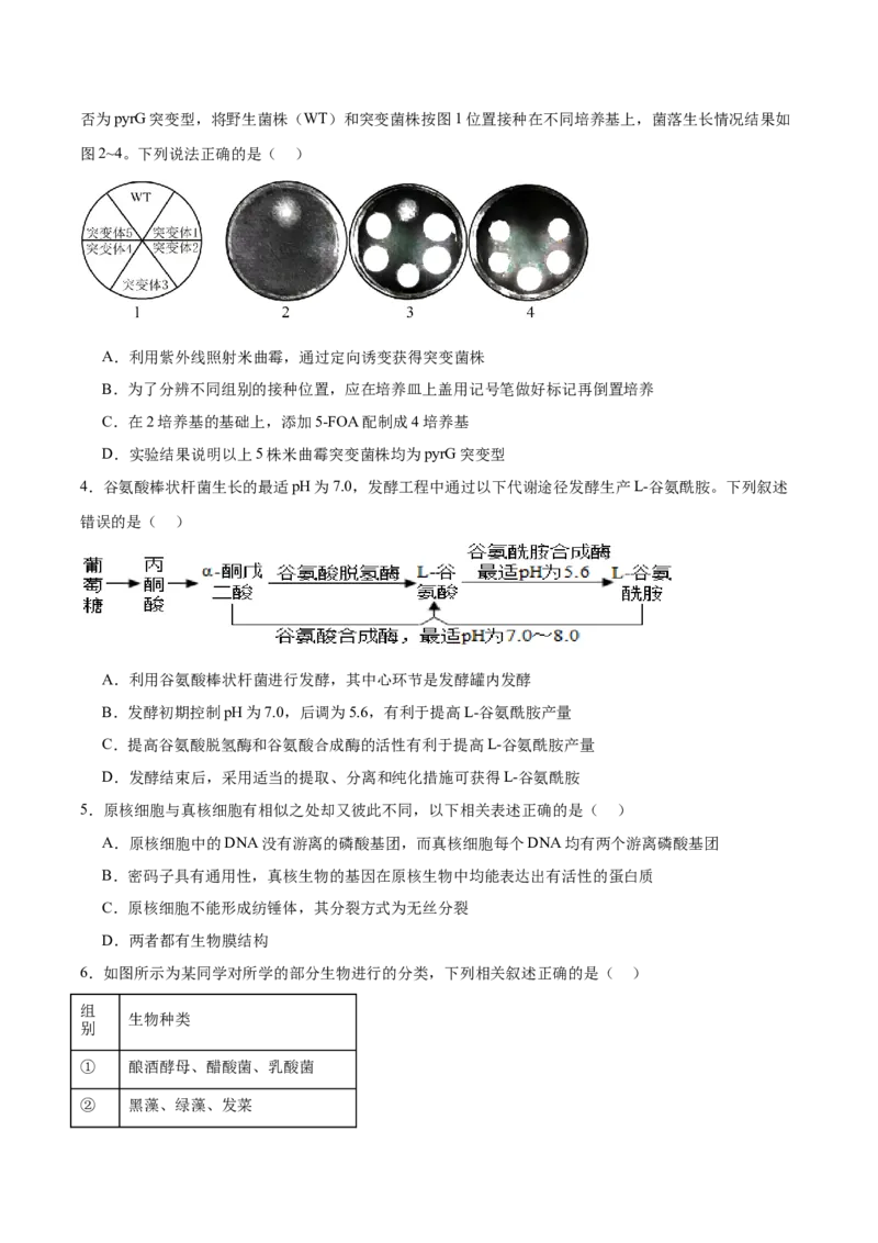 福建省厦门双十中学2024-2025学年高二下学期4月期中考试生物Word版含答案_2024-2025高二（7-7月题库）_2025年6月试卷_0603福建省厦门双十中学2024-2025学年高二下学期4月期中考试